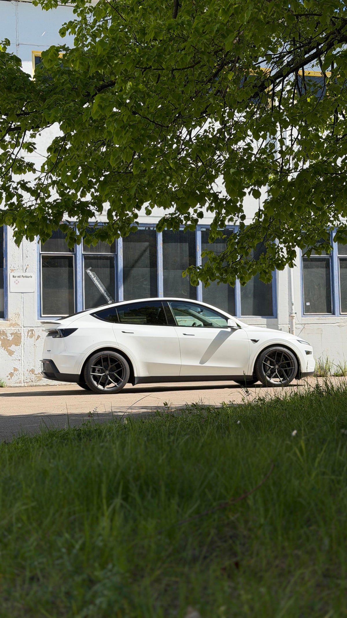 Edelweiss Felgen Tesla Model 3 / Y / S WINTERRAD AKTION!!! Edelweis
