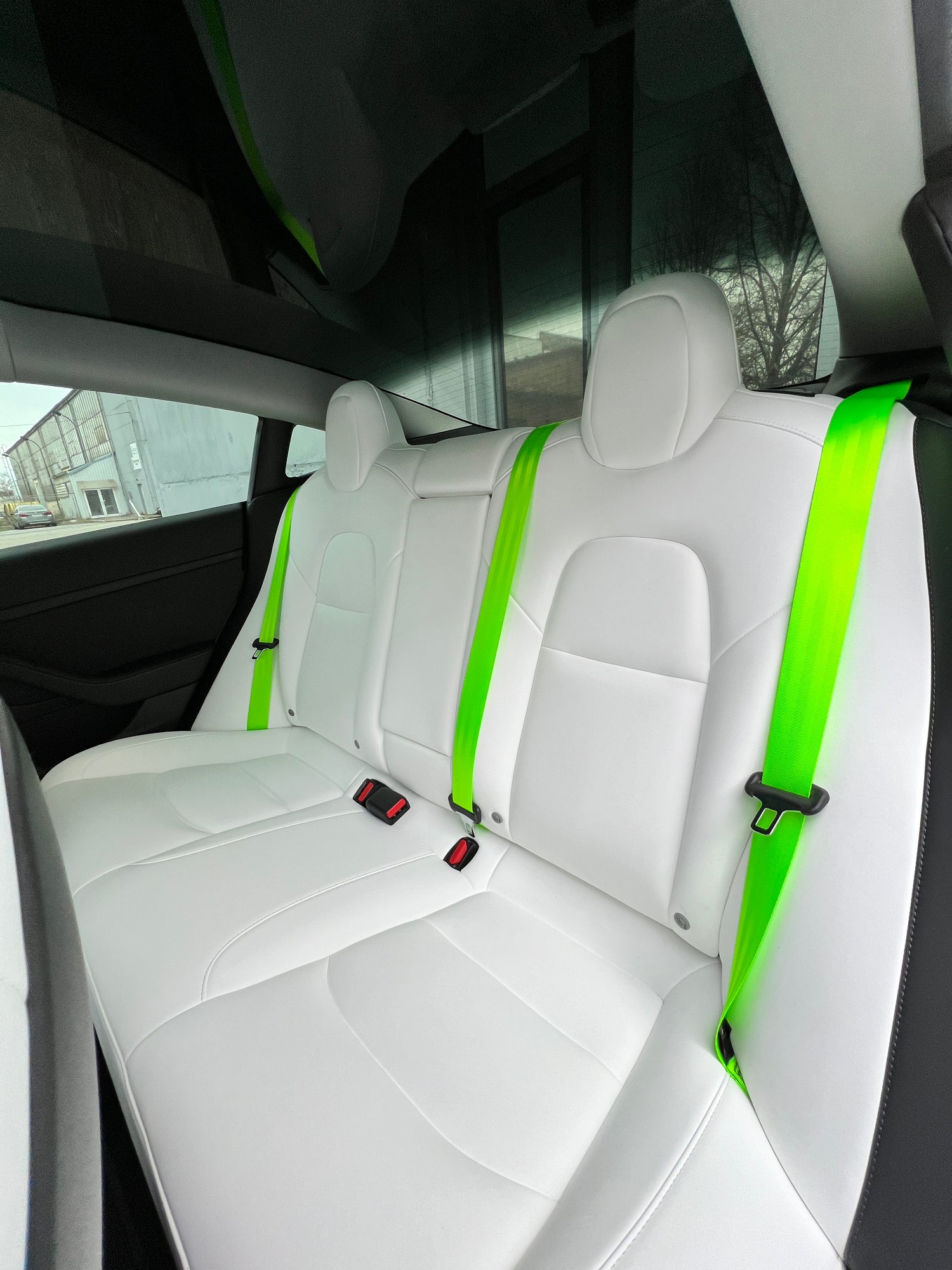 Farbige Sicherheitsgurte Tesla Model 3 / Y Autokorrektur