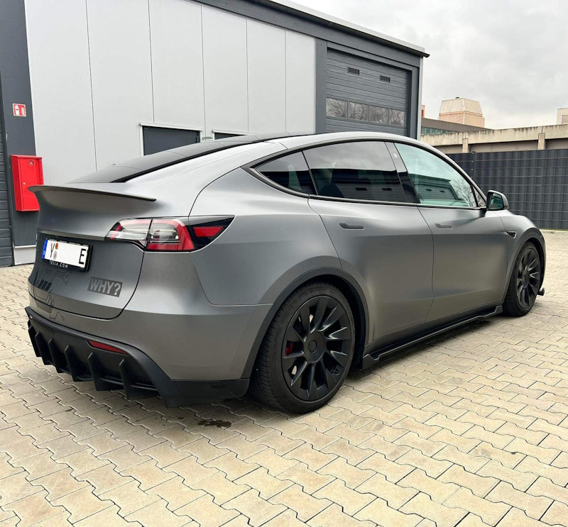 Tesla Model Y Rieger Seitenschweller Rieger