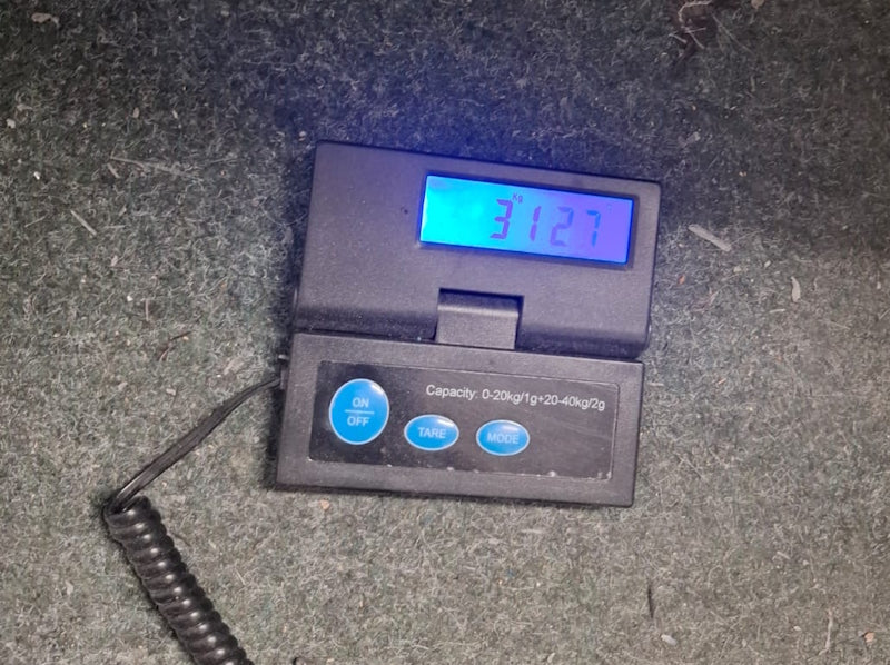 Carbondach Tesla Model 3 SilentDrive.de