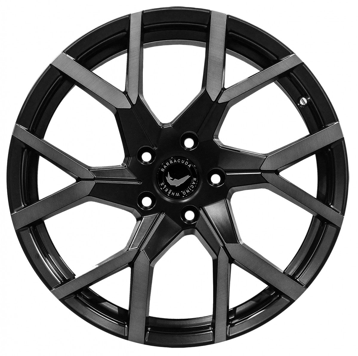 Barracuda Tzunamee Evo SilentDrive