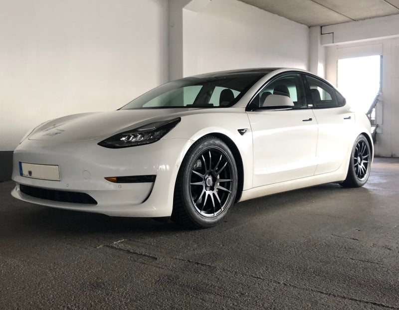 Alutec MonstR für Tesla Model 3 als Komplettrad (Winter)