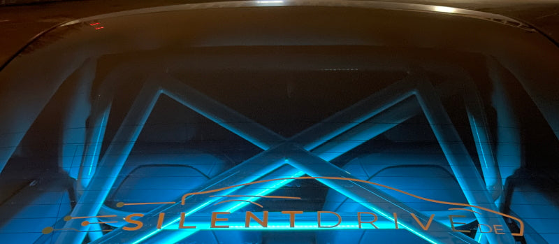 Tesla Model 3 Clubsportbügel SilentDrive.de