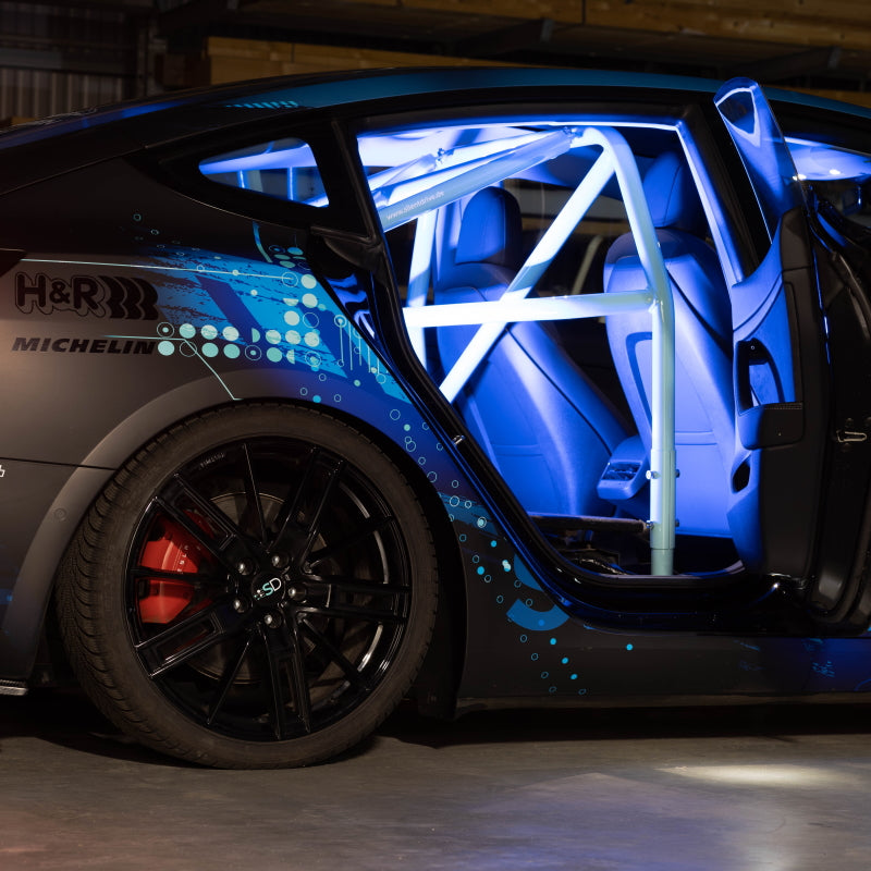 Tesla Model 3 Clubsportbügel SilentDrive.de