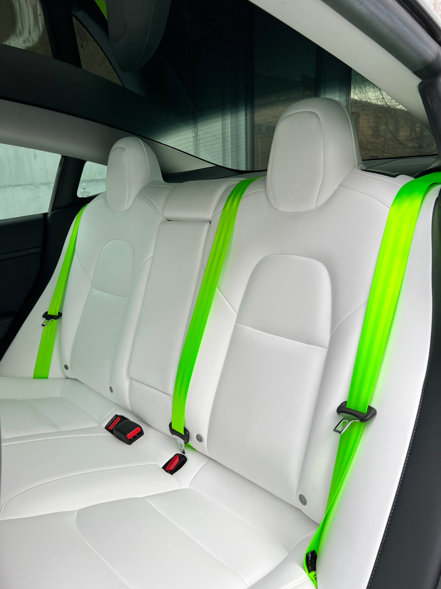 Farbige Sicherheitsgurte Tesla Model 3 / Y Autokorrektur