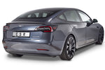 Tesla Model 3 Seitenschweller CSR CSR Automotiv